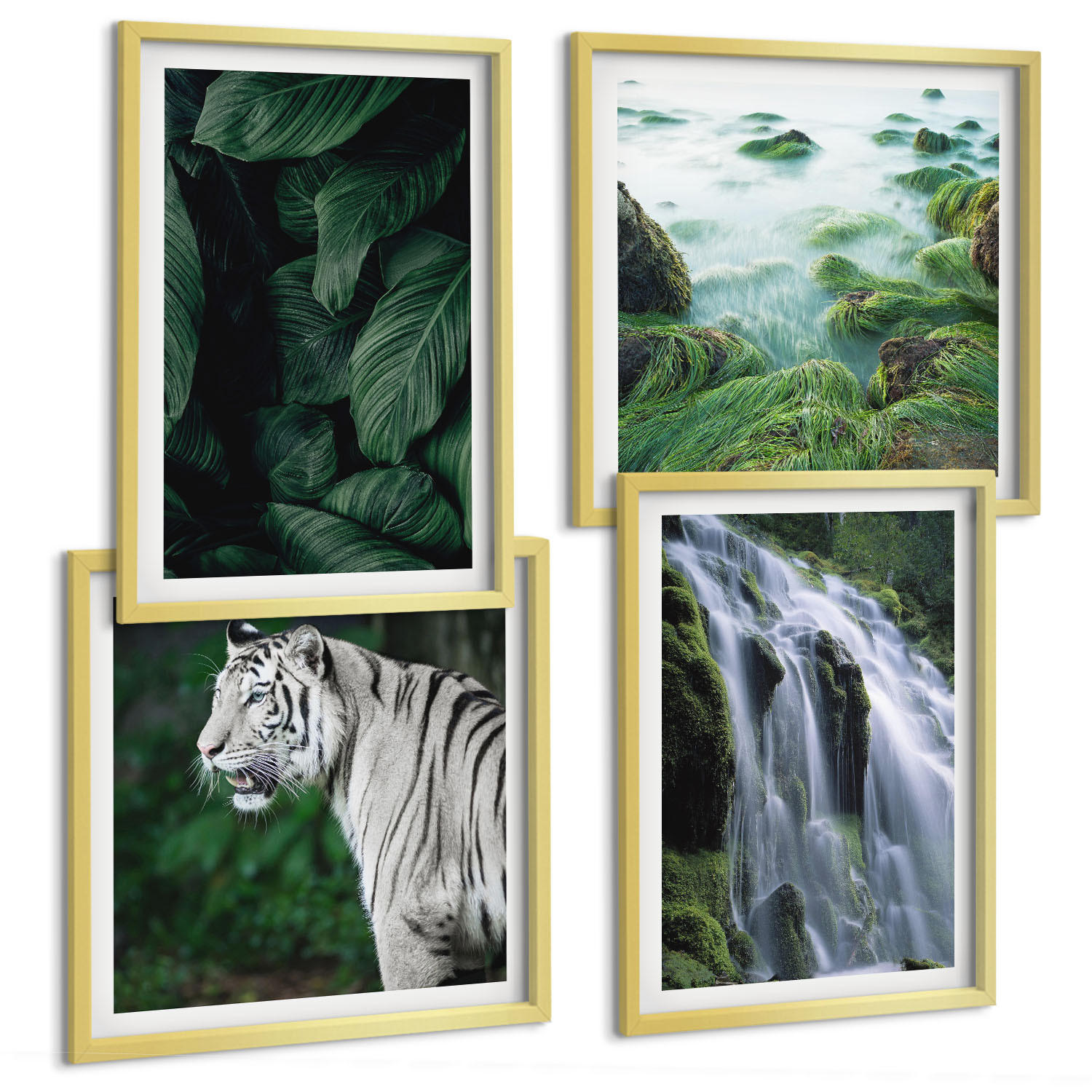 BILDER SET 4er Set - 50x50 cm & 40x60 cm Goldrahmen - Blätter des Weißen Tigerwasserfalls - Goldfarben, Kunststoff (50/50cm) - TULUP