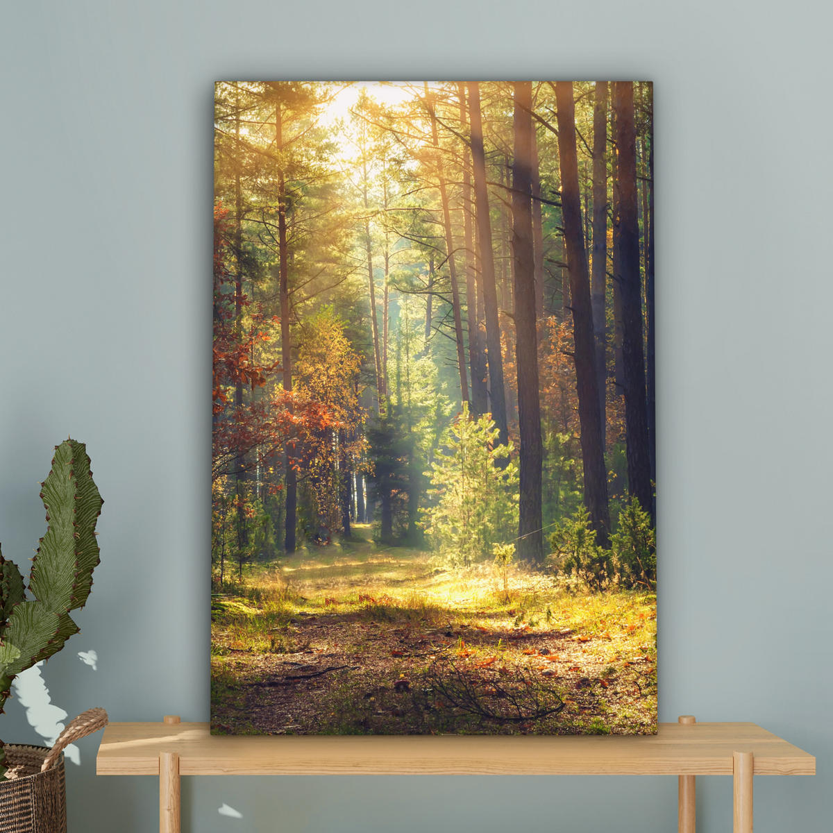 LEINWANDBILD Wald - Herbst - Bäume 60x90 cm - Dunkelgrün, Textil (60/90cm) - MuchoWow