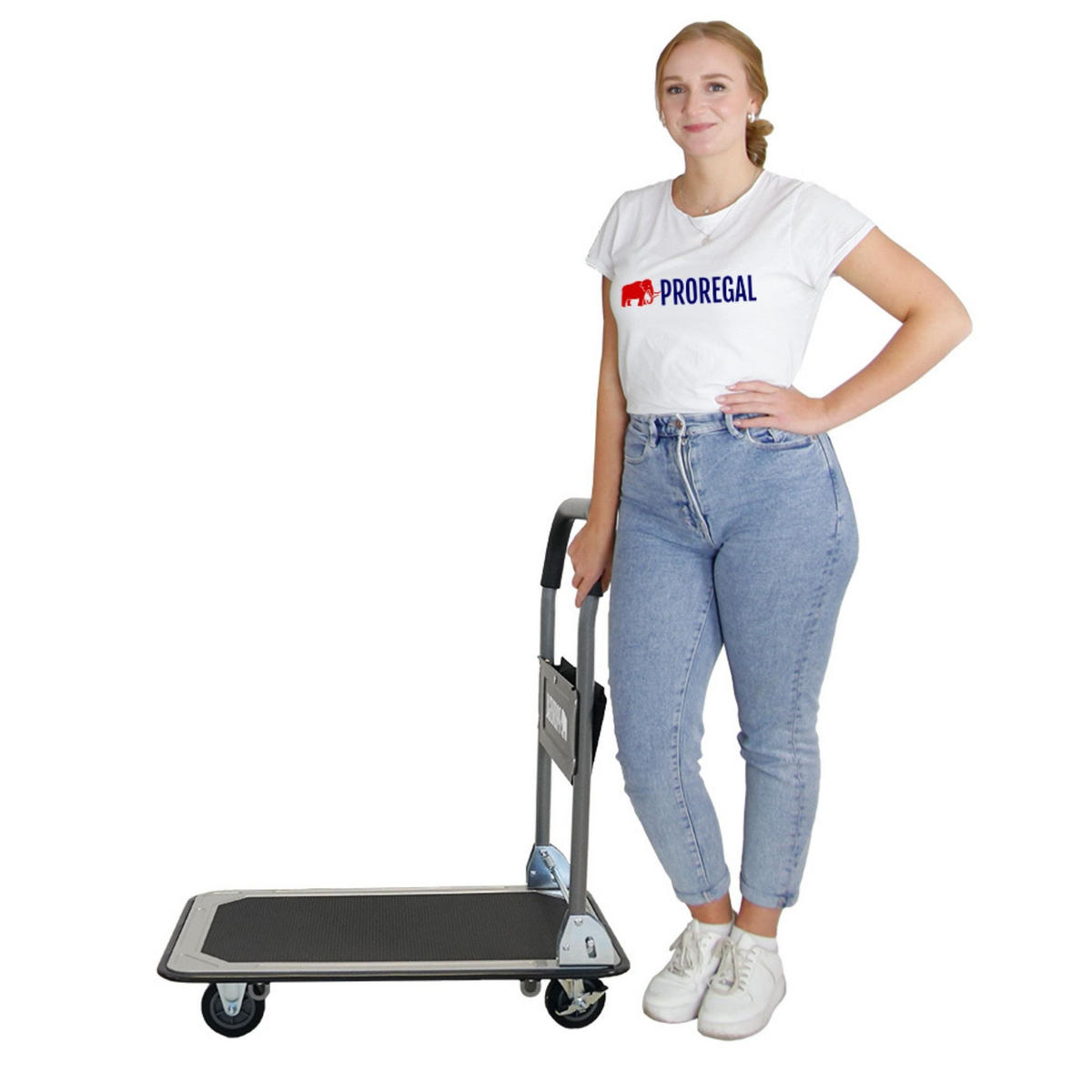 PLATTFORMWAGEN Transportwagen Rhino 150kg klappbar mit Gummiräder und Werkzeugtasche - Schwarz, Metall (73/47/83cm) - PROREGAL