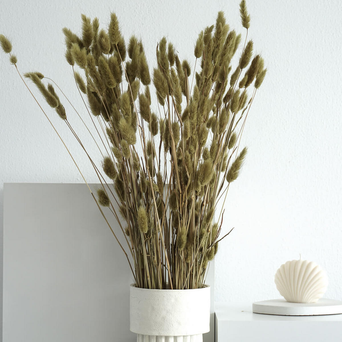 LAGURUS | Samtgras | Hasenschwanz 60cm - magenta - Magenta, Naturmaterialien (70cm) - Lykke & You
