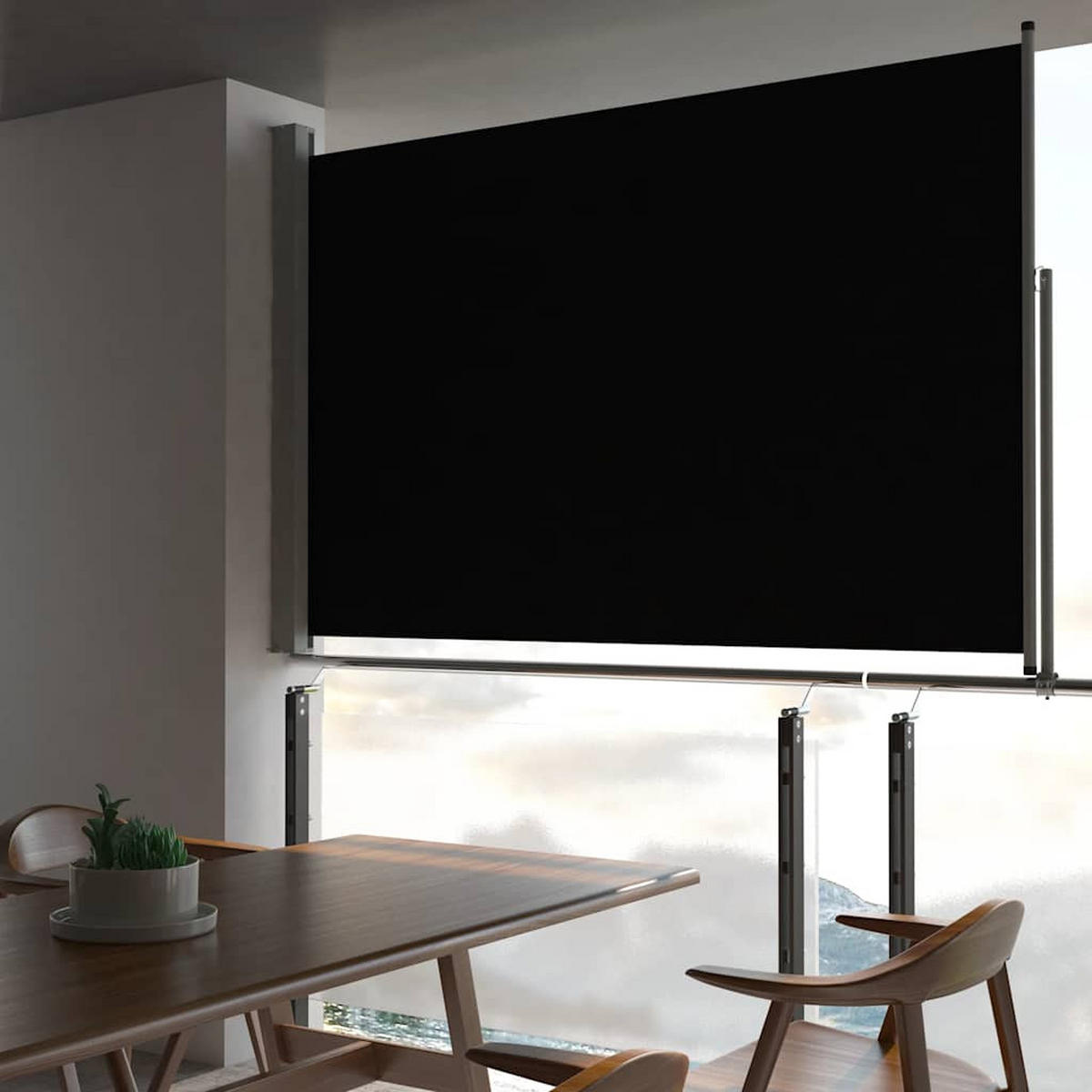 AUSZIEHBARE Seitenmarkise 160x300 cm Schwarz - Schwarz, Textil (300/160/300cm) - furnicato