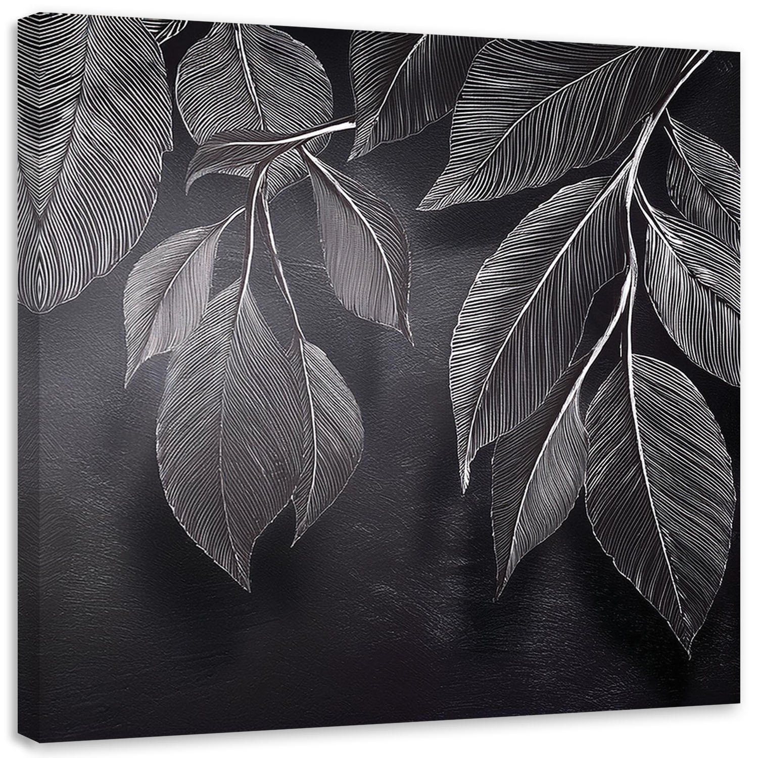 LEINWANDBILD Minimalismus hinterlässt Pflanzen schwarz und weiß 40x40cm - Grau, Textil (40/40cm) - Feeby