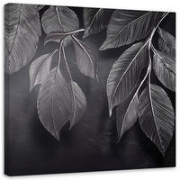LEINWANDBILD Minimalismus hinterlässt Pflanzen schwarz und weiß 40x40cm - Grau, Textil (40/40cm) - Feeby