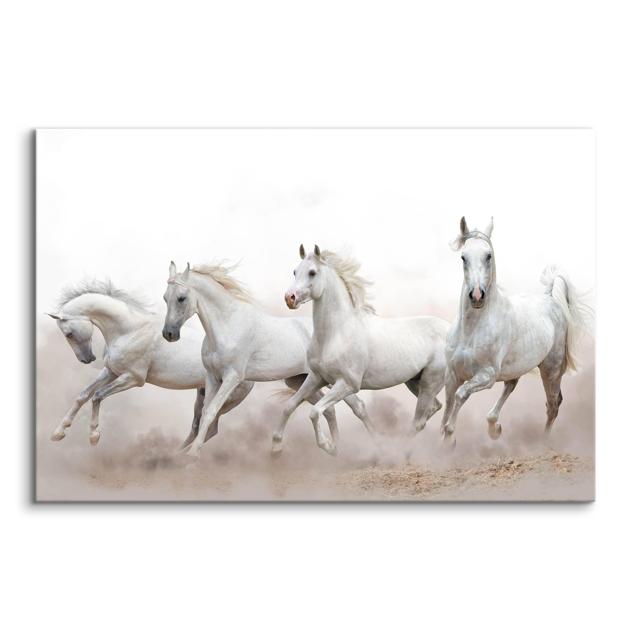 LEINWANDBILD Pferde im Galopp Wüste Tiere 3D Effekt 100x70 - Beige/Schwarz, Textil (100/70cm) - Muralo