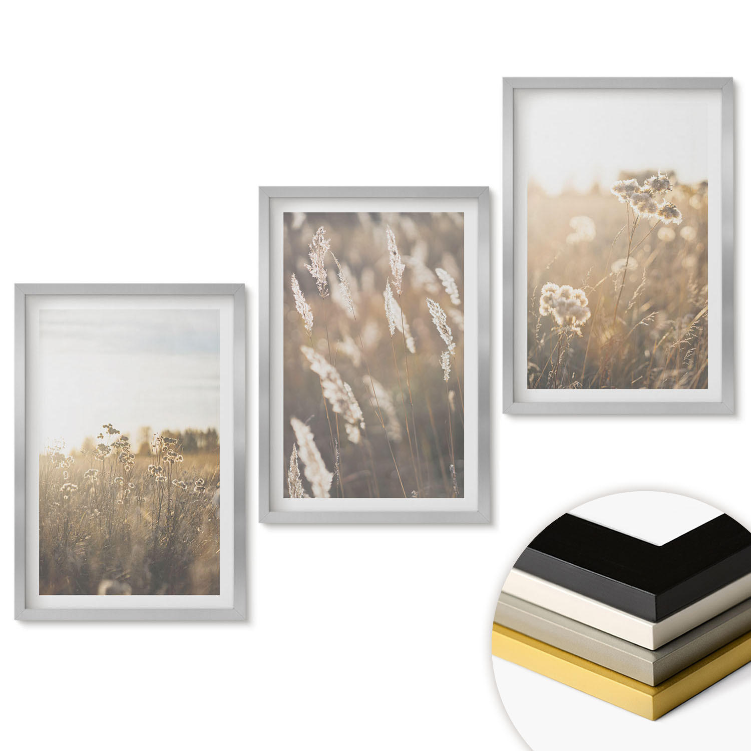 WANDBILDER 3er Set - 40x60 cm Silberner Rahmen - Landschaftsgrasblumen Wärme - Silberfarben, Kunststoff (40/60cm) - ArtPrintCave