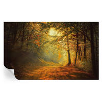 FOTOTAPETE 416x254 cm - Herbstlandschaft - Gelb, Textil (416/254cm) - Wallfluent