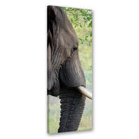 WANDBILD elefant tier afrika - Grau, Textil (30/90cm) - Feeby