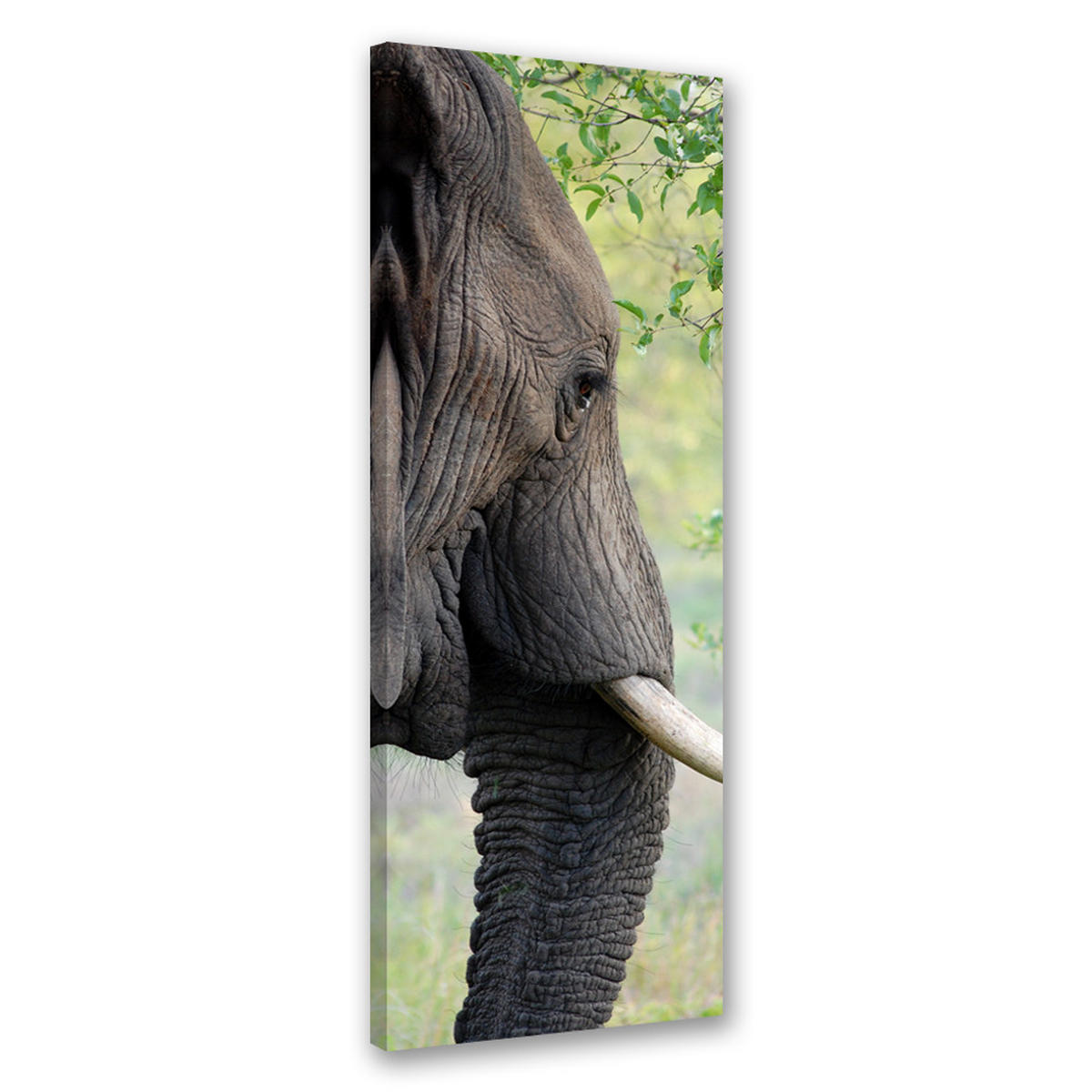 WANDBILD elefant tier afrika - Grau, Textil (30/90cm) - Feeby