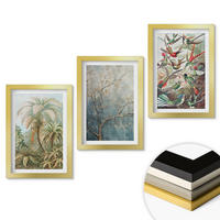 WANDBILDER 3er Set - 20x30 cm Goldrahmen - Tropische Pflanzen, Vögel, Natur - Goldfarben, Kunststoff (20/30cm) - ArtPrintCave