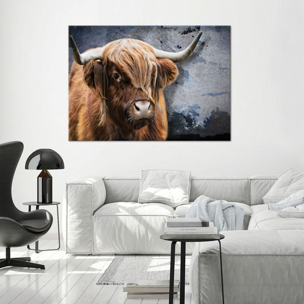 WANDBILD schottische kuh tier natur - Braun, Textil (60/40cm) - Feeby