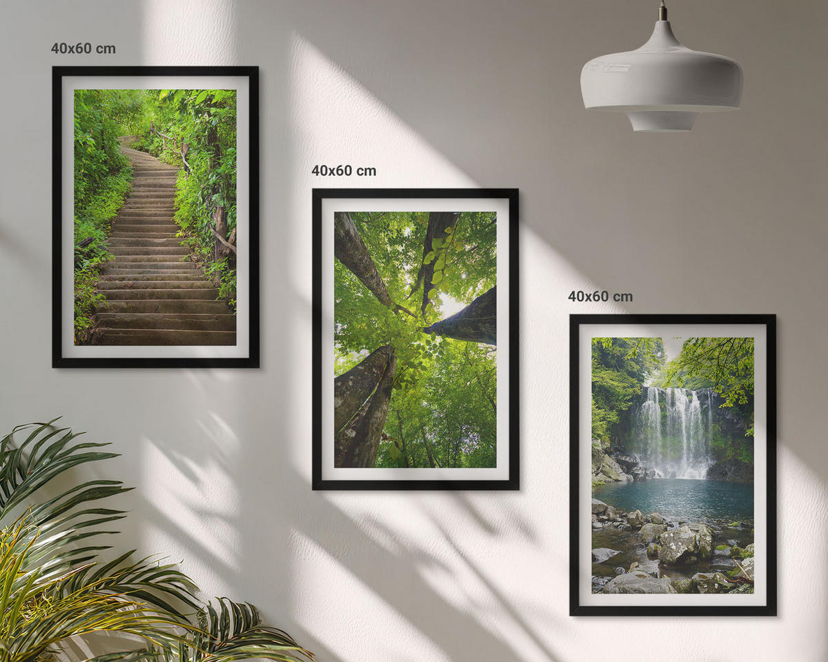 BILDER SET 3er Set - 40x60 cm Schwarzer Rahmen - Pfad Wald Wasserfall Vegetation - Schwarz, Kunststoff (40/60cm) - TULUP