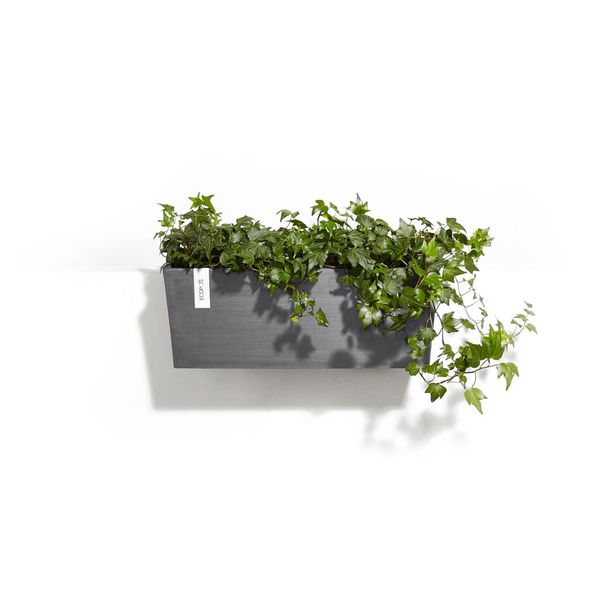 BLUMENTOPF Bruges Hängend 54,7/20,5 cm Grau - Grau, Kunststoff (54.7/20.5cm) - Ecopots