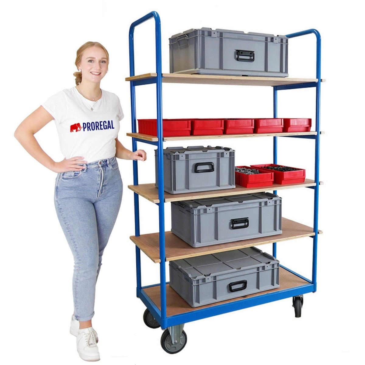 ETAGENWAGEN mit 5 Etagen 186x111X50cm Traglast 400kg Lichtblau - Blau, Metall (50/111/186cm) - PROREGAL