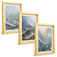 BILDER SET 3er Set - 20x30 cm Goldrahmen - Wassertropfen auf Löwenzahnsprossen - Goldfarben, Kunststoff (20/30cm) - TULUP