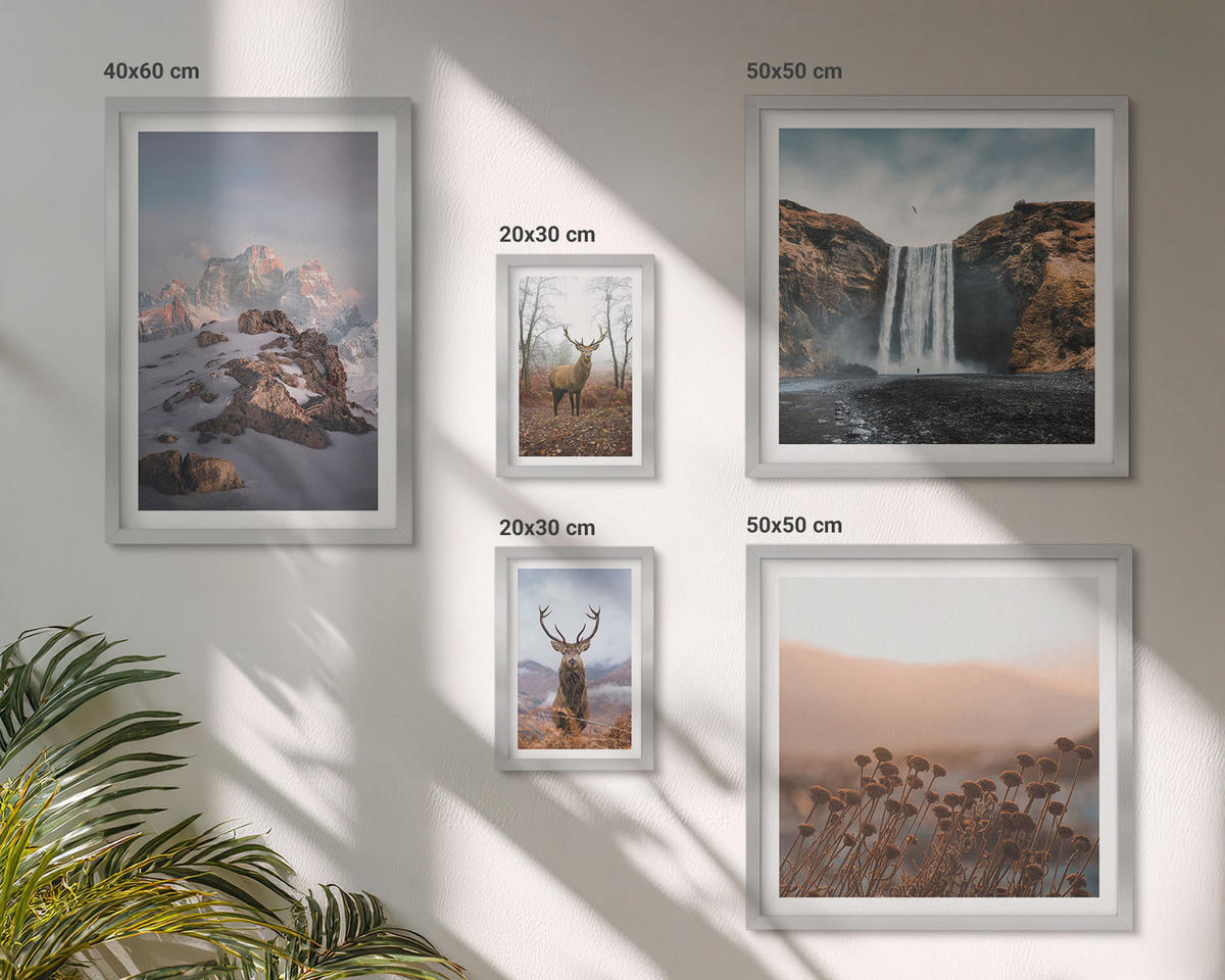 WANDBILDER 5er Set - 50x50 cm & 20x30 cm & 40x60 cm Silberner Rahmen - Urlaub Palmen Wasserfall - Silberfarben, Kunststoff (40/60cm) - ArtPrintCave