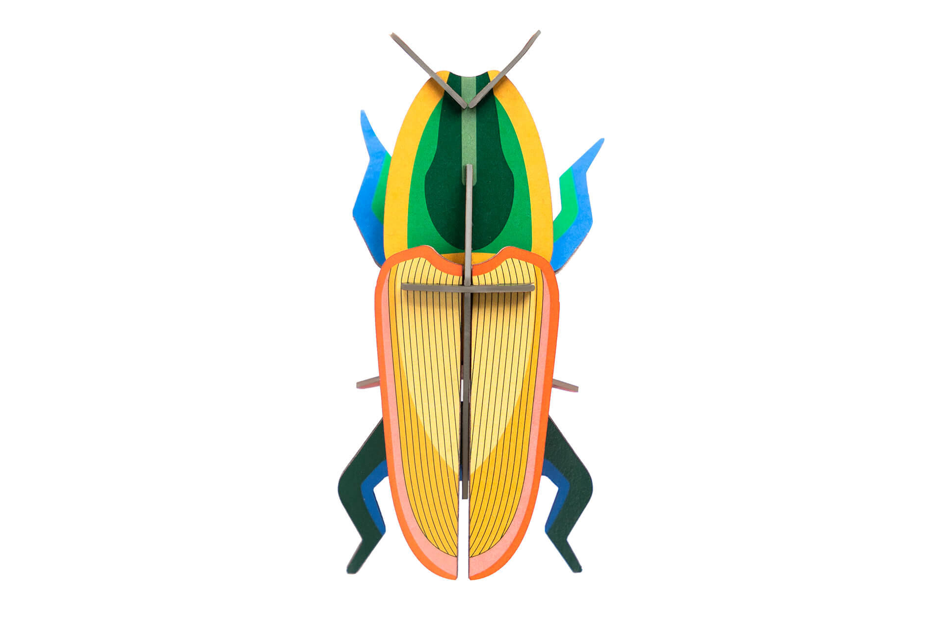 WANDDEKO Madagaskar-Käfer 7/4 cm - Gelb/Grün, Wellpappe (7/4/15cm) - KUNSTLOFT