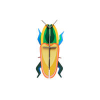WANDDEKO Madagaskar-Käfer 7/4 cm - Gelb/Grün, Wellpappe (7/4/15cm) - KUNSTLOFT