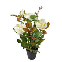 KUNSTBLUME Viridis Weiß 9,5x9,5x43 cm Kunststoff - Weiß, Kunststoff (43cm) - Mondex