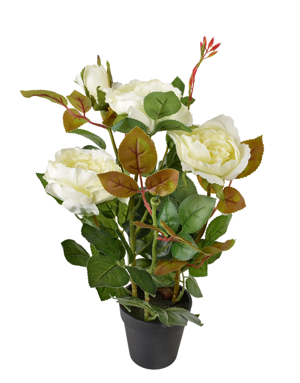 KUNSTBLUME Viridis Weiß 9,5x9,5x43 cm Kunststoff - Weiß, Kunststoff (43cm) - Mondex