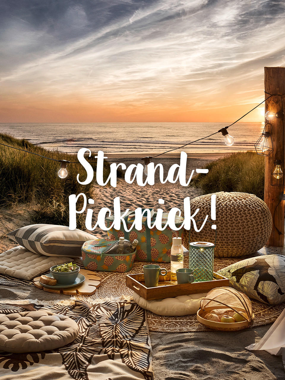 Teaser Geschirr Picknick