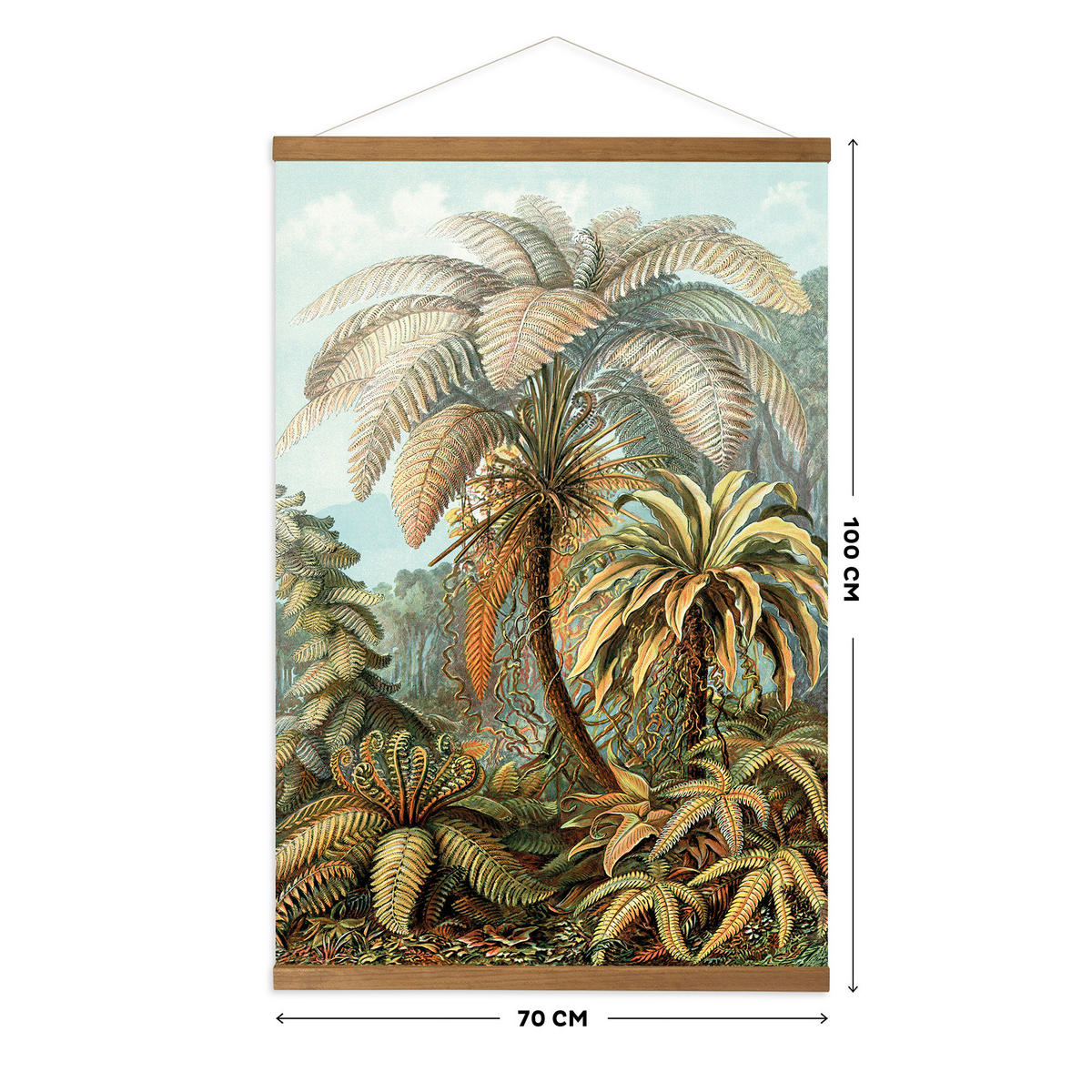 POSTER Dschungel Filicinae 100x70 - Multicolor, Textil (70/100/0.1cm) - Art for the Home