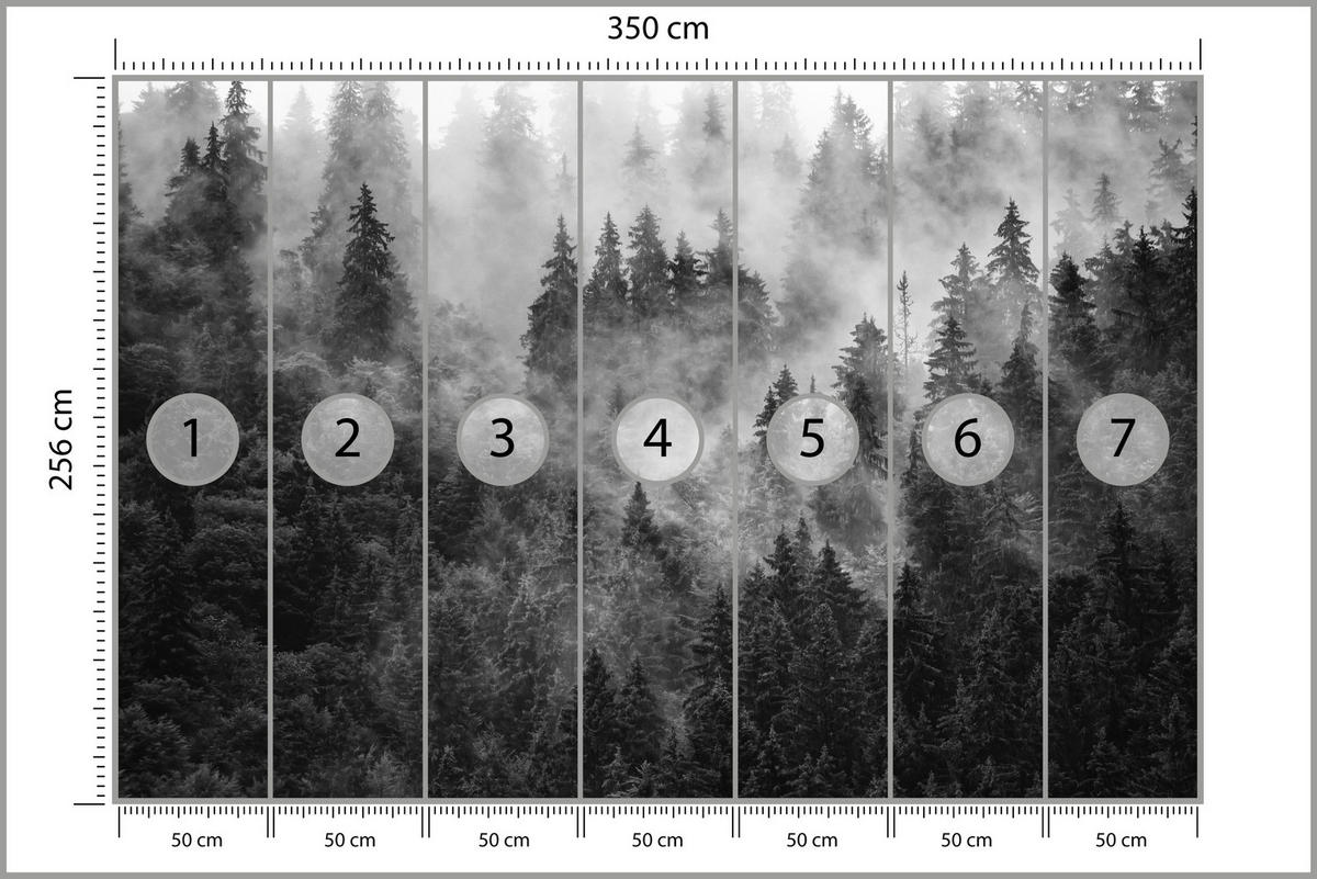 FOTOTAPETE für Wohnzimmer Dichter Nebel Forst Bäume 350x256 - Schwarz/Weiß, Papier (350/256cm) - Muralo