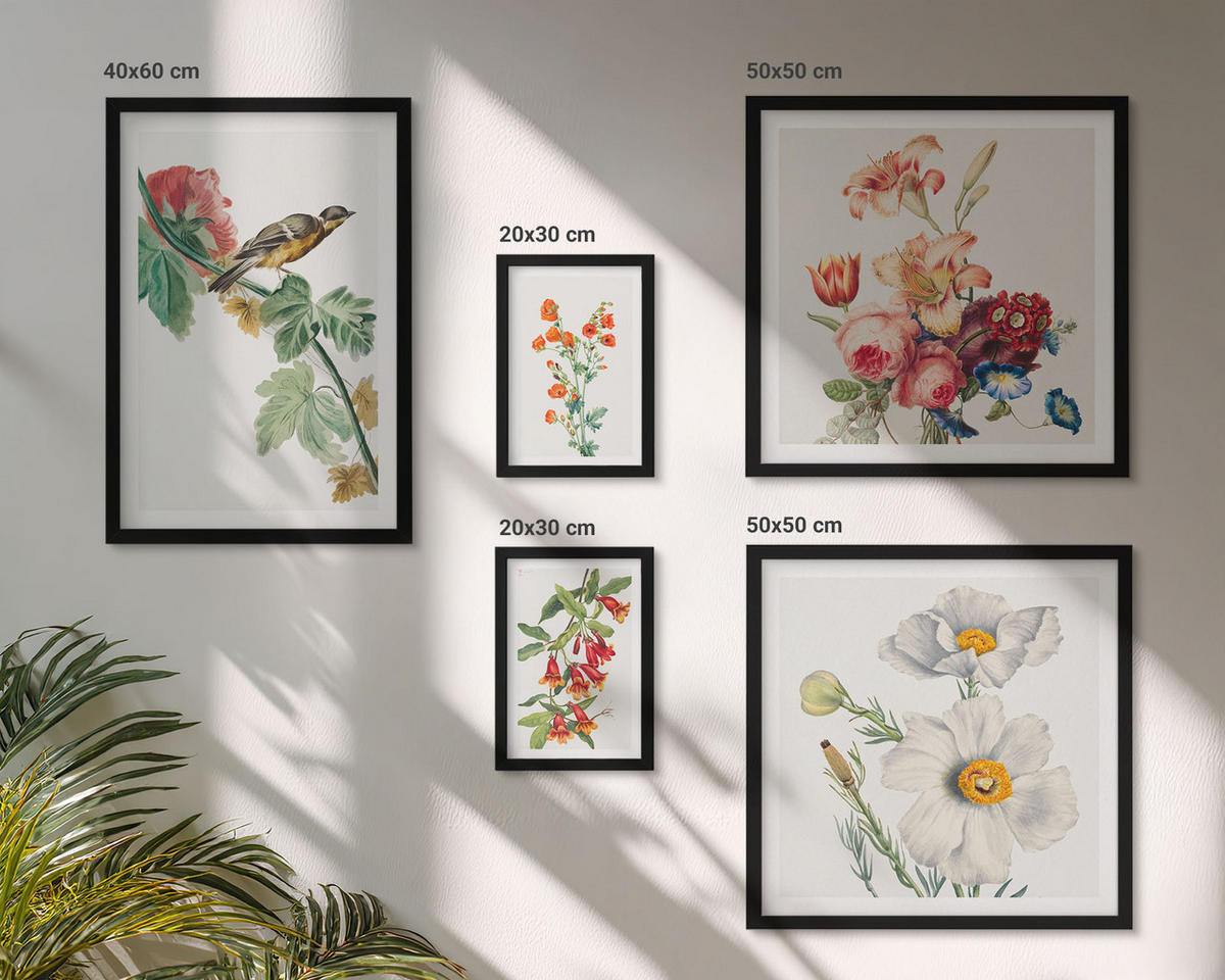 BILDER SET 5er Set - 50x50 cm & 20x30 cm & 40x60 cm Schwarzer Rahmen - Gemalte Blumen, Retro-Vogel - Schwarz, Kunststoff (40/60cm) - TULUP