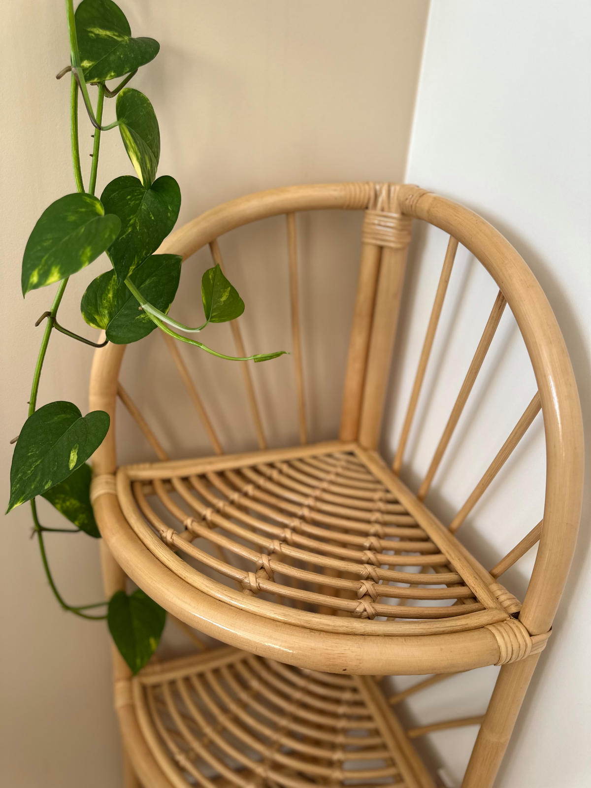 REGAL Braun - Braun, Holz (30/90/30cm) - Nordlys