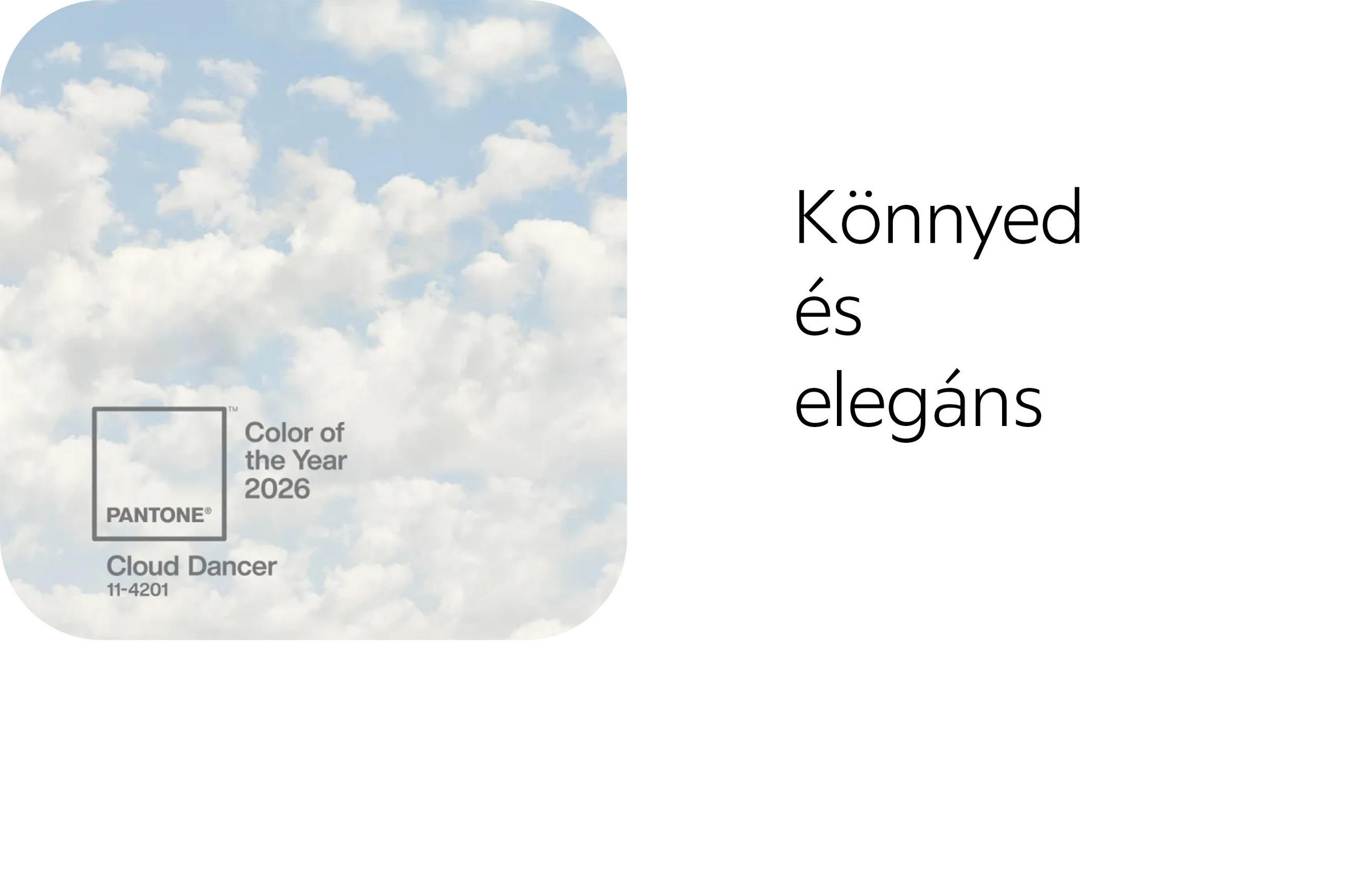 dekorációs kép pantone color of the year cloud dancer könnyed és elegáns
