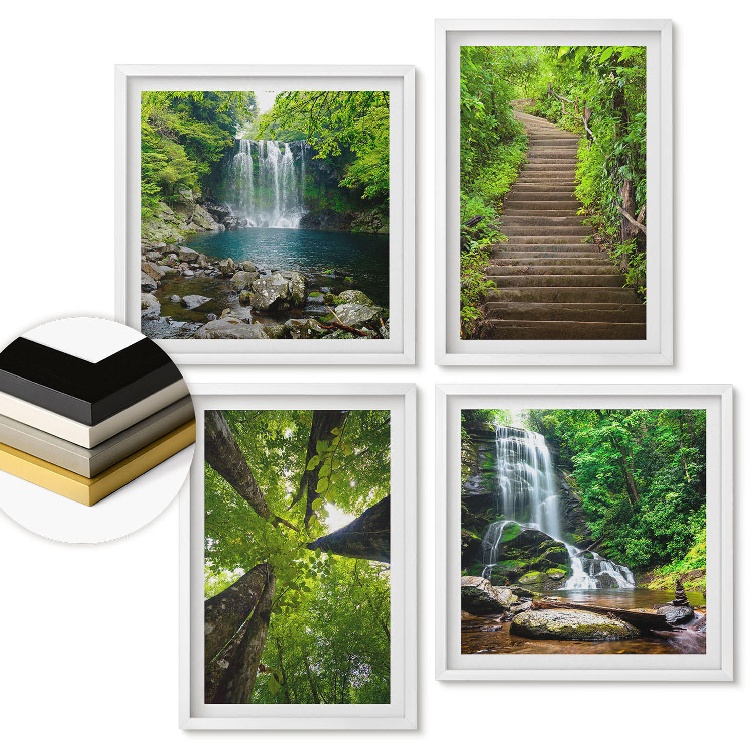WANDBILDER 4er-Set - 50x50 cm & 40x60 cm Weißer Rahmen - Pfad Wald Wasserfall Vegetation - Weiß, Kunststoff (50/50cm) - ArtPrintCave