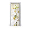 TÜRAUFKLEBER 75x205 cm Dekorativ für Türen - Creme, Kunststoff (75/205/0.01cm) - TULUP