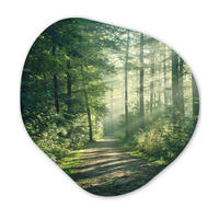 WANDBILD Wald - Weg - Sonne - Bäume - Grün - Natur 40x40 cm - Waldgrün, Kunststoff (40/40cm) - MuchoWow