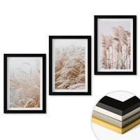 WANDBILDER 3er-Set - 20x30 cm Schwarzer Rahmen - Grasflächen in Braun- und Beigetönen - Schwarz, Kunststoff (20/30cm) - ArtPrintCave