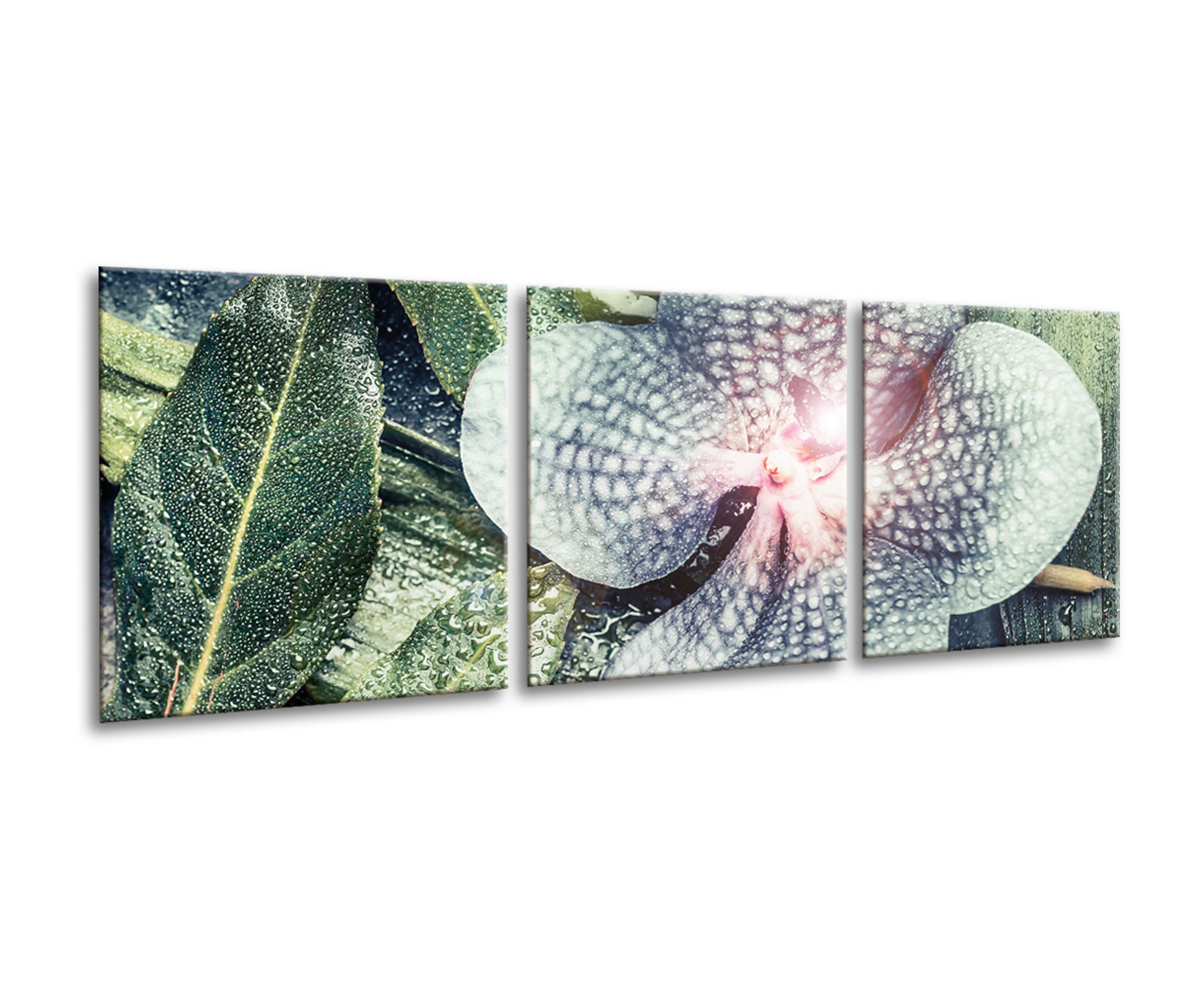 artissimo Bilder-Set Grün 150x50 cm