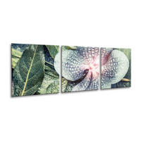 BILDER-SET aus Glas je 50x50 cm Orchidee grün weiß rosa - Grün, Glas (150/50cm) - artissimo
