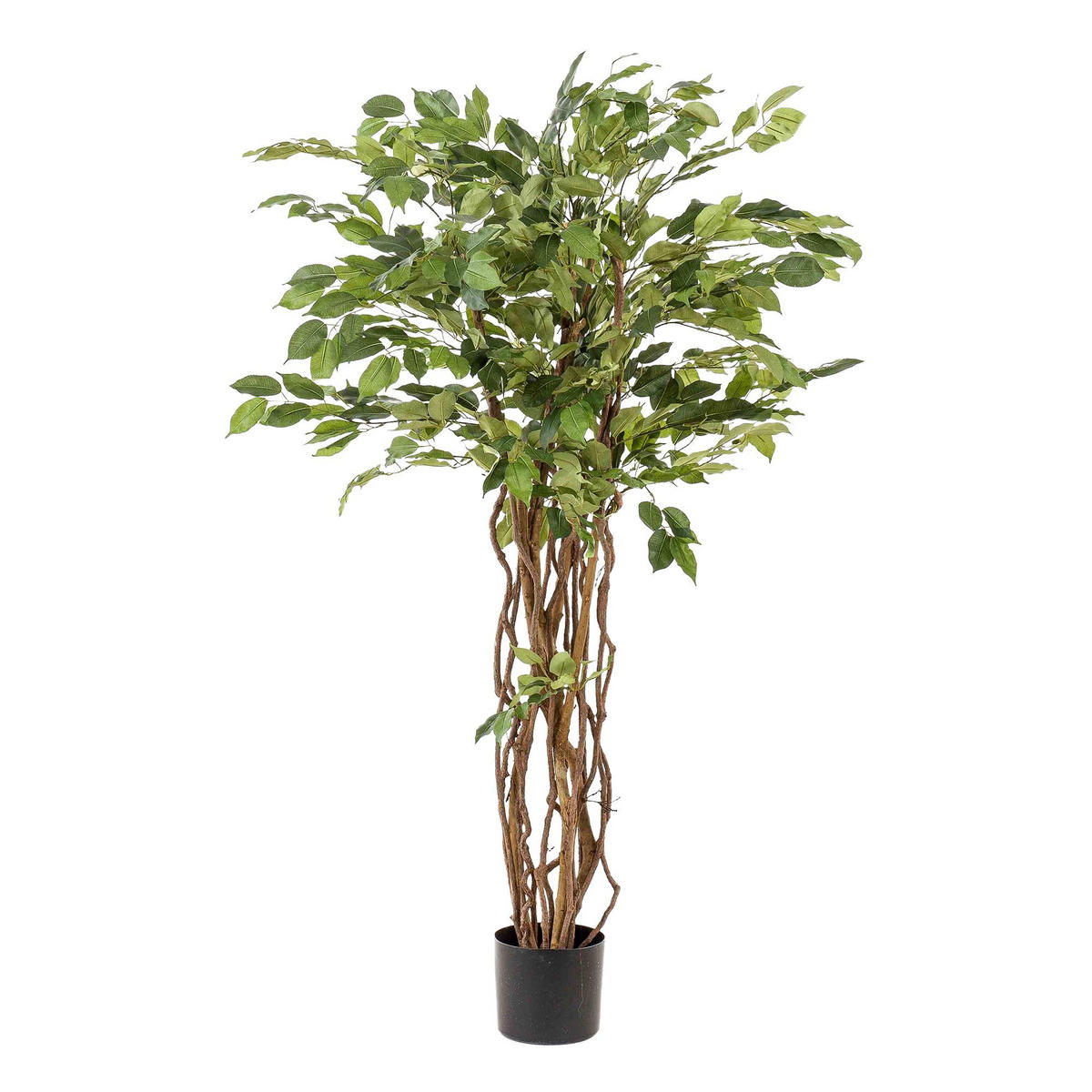KUNSTPFLANZE Ficus Liana Geigenblattpflanze 140cm - Grün, Kunststoff (140cm) - Green boutiQ