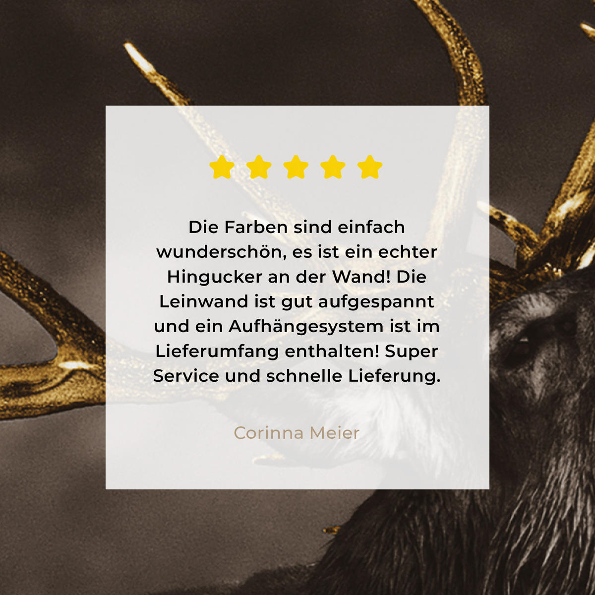 LEINWANDBILD Rotwild - Schwarz - Gold Wandbilder 80x60 cm - Braun, Textil (80/60cm) - MuchoWow
