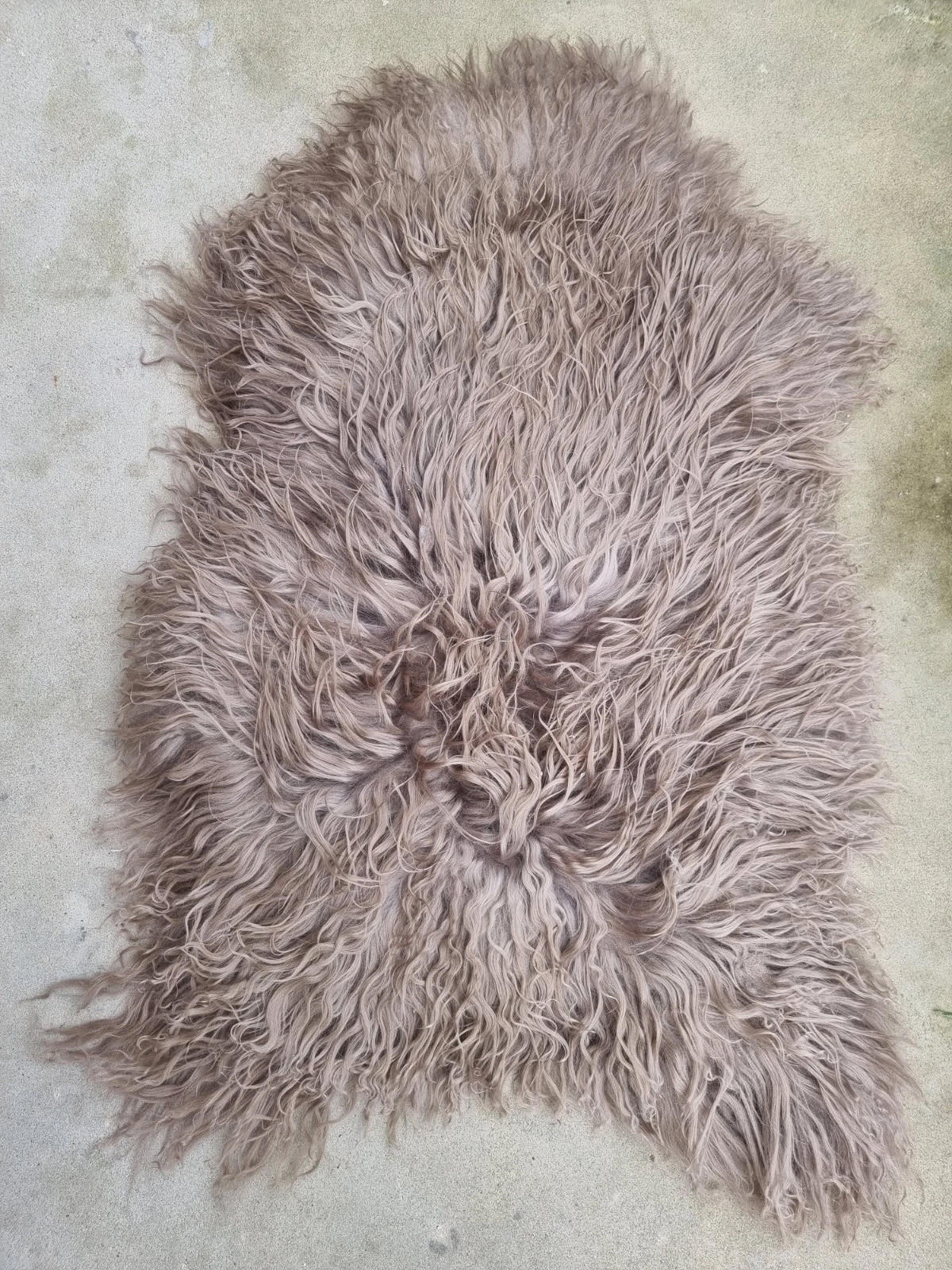 LAMMFELL Island Langhaar natur lockig weich Premium Hell Taupe ca. 135 cm - Taupe, Fell (75/135cm) - Provellus