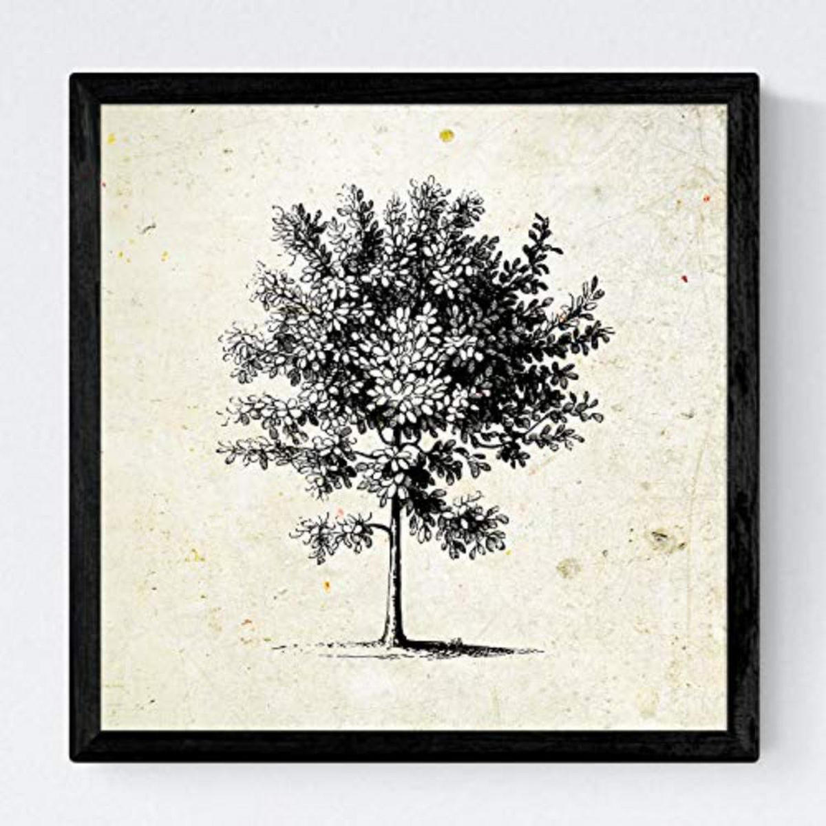 POSTER Set mit 4 Blättern der Bäume mittlerer, Jahrgang Hintergrund 20x20cm Rahmenlos - Klar, Papier (20/3cm) - Nacnic