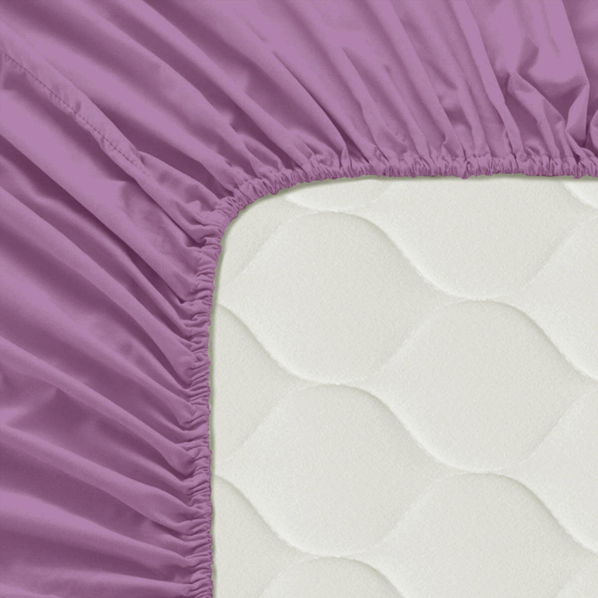 SPANNBETTTUCH basic 60x120x14 cm (kinderbett) lila - Flieder, Textil (60/120cm) - Happy Friday