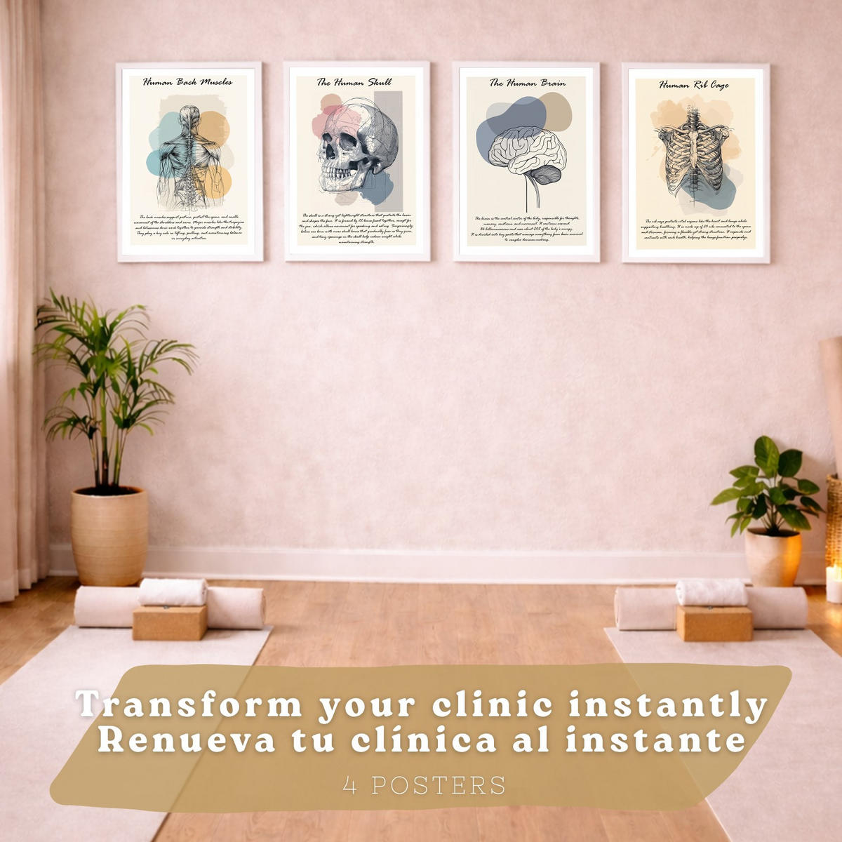 POSTER Set aus 4 Anatomie Mensch Lernposter Drucke und Wandbilder mit Muskeln Rücken Rippen Gehirn und Schädel Modernes Design Größe Weißer Rahmen A4 - Weiß, Papier (21/29.7/3cm) - Nacnic