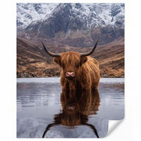 TAPETE - Schottischer Hochländer - Braun - Wasser - 220x260 cm - Braun, Papier (220/260cm) - OnlyWow