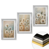 WANDBILDER 3er Set - 20x30 cm Silberner Rahmen - Pastellfarbene Löwenzahnblüten - Silberfarben, Kunststoff (20/30cm) - ArtPrintCave