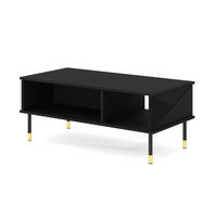 COUCHTISCH Schwarz, Gold 110/45/55 - Schwarz, Holzwerkstoff (55/110/45cm) - RAUMHIRSCH FURNITURE