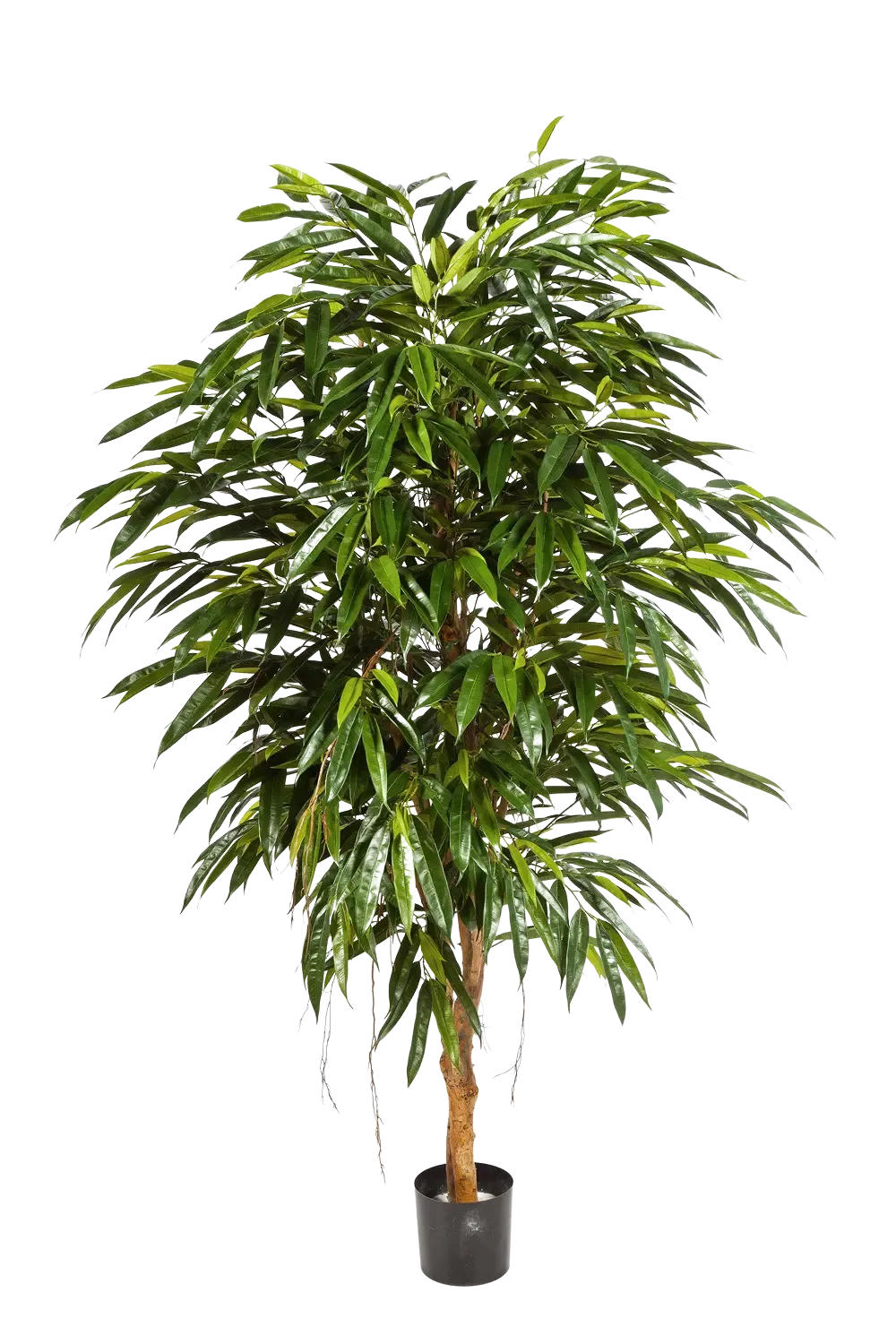 KÜNSTLICHE Longifolia - Sean 210 cm - Grün, Kunststoff (210cm) - aplanta