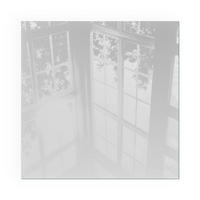 GLASPLATTE für Kamin 50x50 cm - Grau, Glas (50/50/0.4cm) - TULUP