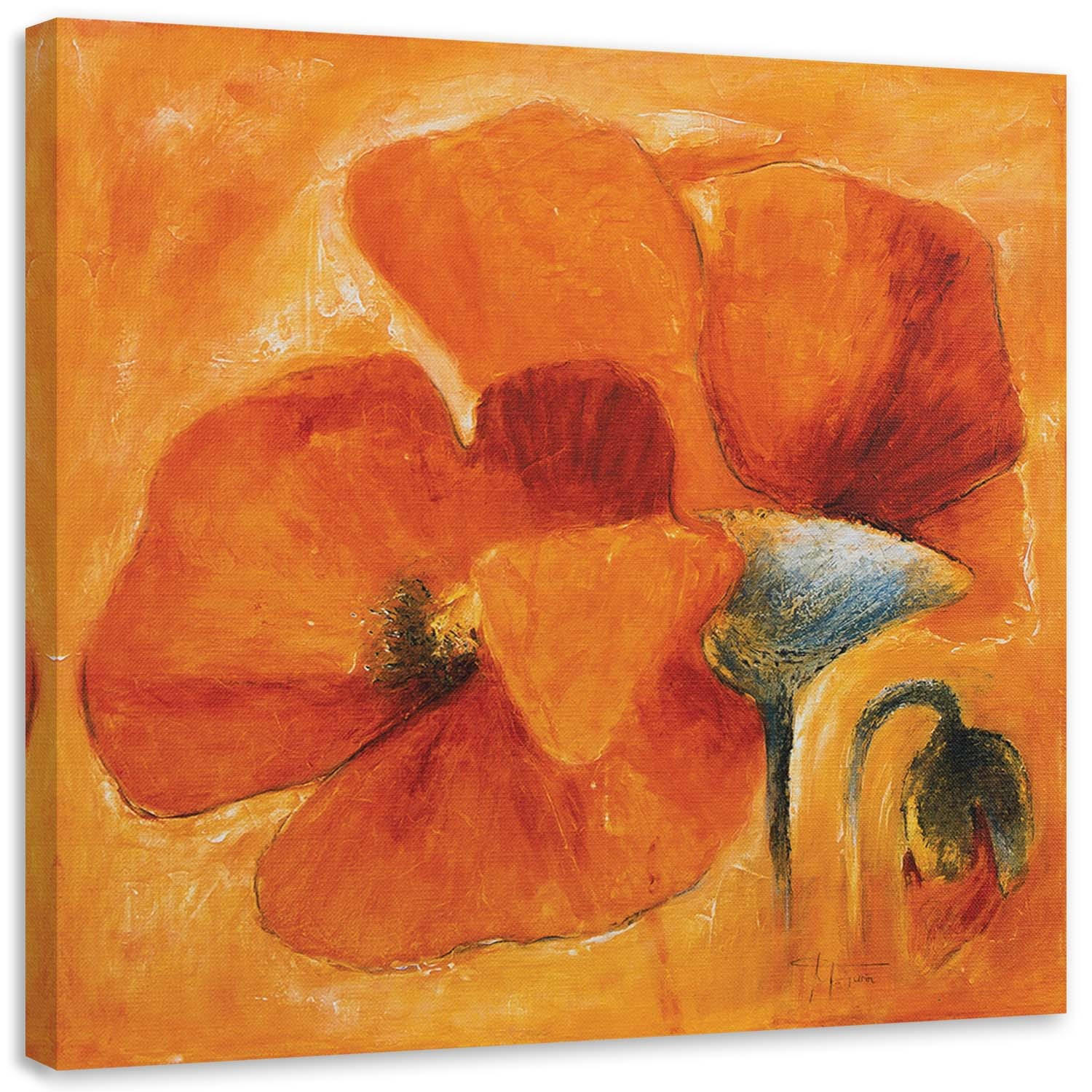 LEINWANDBILD, Orange Mohnblumen Natur Abstrakt 50x50cm - Orange, Textil (50/50cm) - Feeby