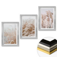 WANDBILDER 3er Set - 20x30 cm Silberner Rahmen - Grasflächen in Braun- und Beigetönen - Silberfarben, Kunststoff (20/30cm) - ArtPrintCave
