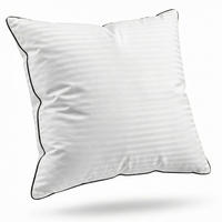 VANKÚŠ s výplňou z nanovlákien, 80x80 cm - biela, textil (80/80cm) - Blumtal