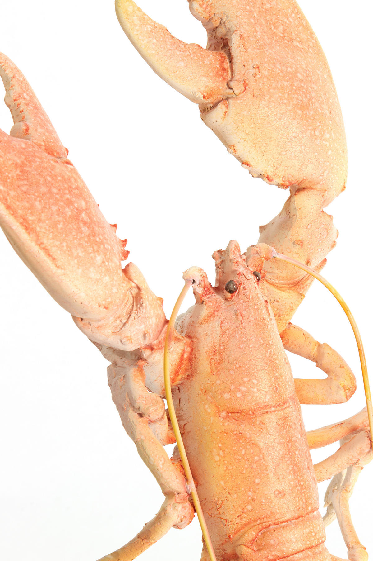 ORNAMENT Lobster Orange 25/14/56.5 cm - Orange, Kunststoff (14/56.5/25cm) - Light & Living